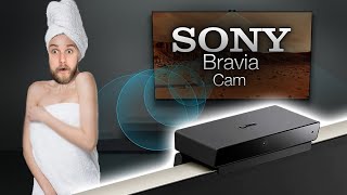 Are you getting this with your new SONY TV?