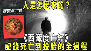 人是怎麽來的？《西藏度亡經》：記錄從死亡到投胎的全過程#投胎 #西藏度亡經 #修禪悟道