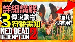 【傳說毛皮消失？】解答狩獵- 傳說動物 - 常見問題 【碧血狂殺2 攻略】地圖+痕跡定位 - 傳說公鹿角獲得 《RED dead redemption 2 | 荒野大鏢客2 | 中文》