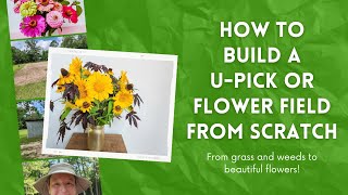 How to Build a U-Pick or Flower Field From Scratch: From grass and weeds to beautiful flowers!