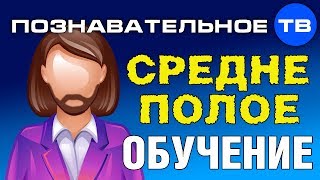 Среднеполое обучение (Познавательное ТВ)