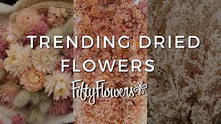 Top Trending Dried Flowers