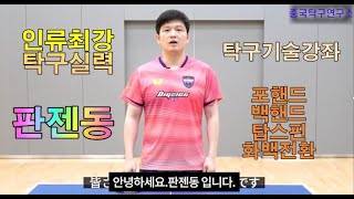 판젠동 탁구 레슨 포핸드 백핸드 탑스핀 드라이브 화백전환