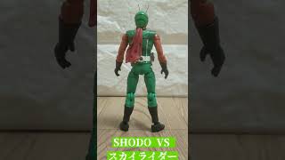 SHODO-VS スカイライダー目力アップ加工#掌動塗装