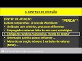 empresas v013 inconsistência e fraude contábeis americanas x worldcom.