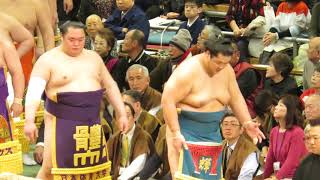 2019年　大相撲三月場所　六日目　土俵入り　大阪場所　三月十五日