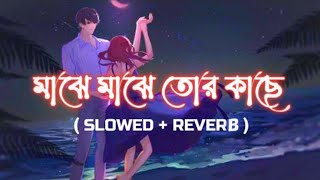 Majhe Majhe Tor Kache [ Slowed + Reverb ] | Love Express #Bengali_Jukebox_LoFi