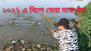 বিলে সেরা মাছ শিকার ২০২২ সালে নাটোর বিলে | village fishing catching big fish