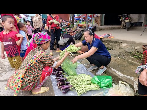 Long Bean Harvest Eggplant Goes To The Market To Sell Lý Thị Ca