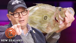 Guess The Fish Elimination Challenge | MasterChef New Zealand | MasterChef World