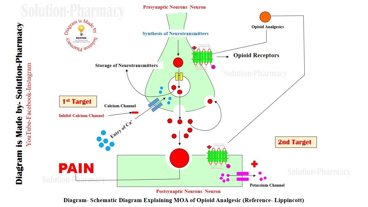 Opioides Endogenos