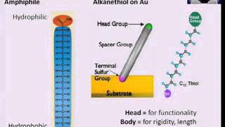 Nanomanufacturing  19   Monolayer and multilayer assembly