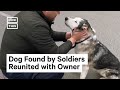 Dog & Owner Reunited After Being Separated in Ukraine #Shorts