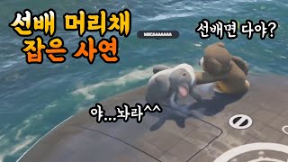 파티 애니멀즈, 귀여운 동물들의 살벌한 대난투🐶🐱🐰