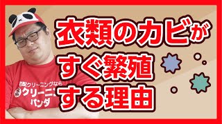 宅配クリーニングの初「カビ」お任せください。【クリーニングパンダ】