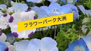 癒しの四国旅行　フラワーパーク大洲 4K映像　愛媛県大洲市