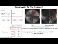 fungi in the blood fungi in the brain rapamycin to the rescue