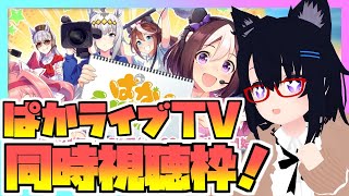 【ウマ娘】ぱかライブTV同時視聴枠！何が来るのか予想しながら見てみよう！～2024年4月～