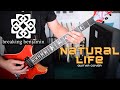 Breaking Benjamin - Natural Life (Guitar Cover)