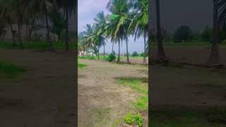 எங்க ஊரு pothiya yethi vandiyila pollachi santhaiyila song | namma native eppadi irukku familys🌴🍂🍃🌾🍀