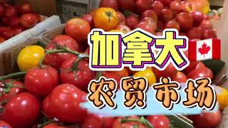 加拿大的卡尔加里的农贸市场 #calgary #farmersmarket #canada