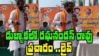 దుబ్బాకలో రఘనందన్ రావు ప్రచారం లైవ్ | Raghunandan Rao Campaign Live From Dubbaka