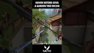 Haven Sova Defense A Garden Tree God Recon Bolt | Valorant Tactic