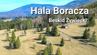 Hala Boracza z drona- Beskid Żywiecki, przepiękny szlak na Rysiankę