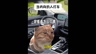 司机：我那么大的乘客呢  #猫meme #猫meme小剧场 #搞笑 #真实还原