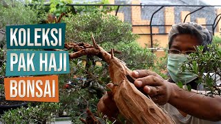 Membuat Keringan Bonsai Santigi dan Melihat Koleksi Pak Haji Bonsai, Berbah, Sleman, Yogyakarta