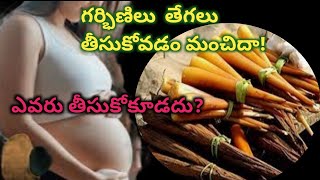 తాటి తేగలు ప్రేగన్సీలో తీసుకొనేటపుడు ఈ జాగ్రత్తలు తప్పనిసరి/pregnancy diet