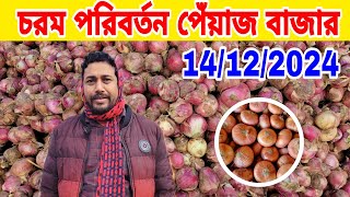 নতুন মুরিকাটা পেঁয়াজের গরম খবর | পেঁয়াজের বাজারের নতুন পেঁয়াজের খেলা শুরু| onion news