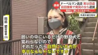 ドーベルマン逃走 実は窃盗 前回捜索で発見の女ら逮捕 取材に「返したくなかった」 千葉県(動物愛誤)(製造車禍.人身被害)(アニマルホーダー.動物囤積症.Animal Hoarding)(狂犬病)