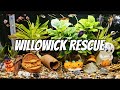 Willowick Rescue