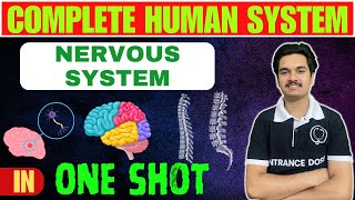 NERVOUS SYSTEM in One SHOT / Complete Concept , MCQs , Shortcuts🔥 For 12 Class & CEE ✅