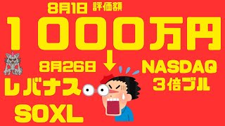 【レバレッジに８４０万円全力投資した1ヶ月の資産推移】＃91