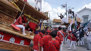 令和6年 西/大道 唄いまわし 太子町役場 宵宮 太子町山田地区科長神社夏祭り だんじり祭