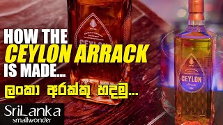 How the Arrack is Made -  Ceylon Toddy Tapping, Coconut Arrack the all natural Spirit