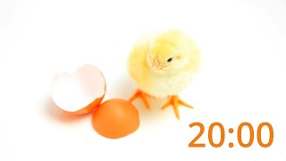 Egg-citing 20-Minute Easter Timer with Music
