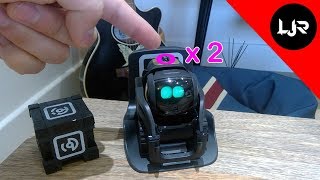 Try This If You Have A Problem With Anki Vector