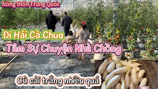 🌻355🌻Mấy Hôm Nay Không Ra Video, Ba Mẹ Chồng Muốn Hoán Đổi Chỗ Ở Với Nhau|CSTQ