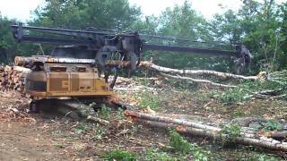 Cat 320C FM Delimber And Tigercat 630C Skidder