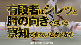 ［有段者はシレッと肘の向きぐらいは察知できないとダメかも］養神館合気道 精晟会渋谷の稽古