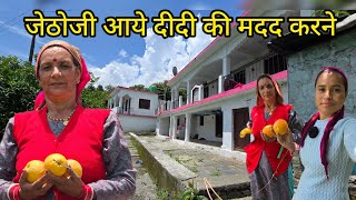 दीदी की हो गई बुखार से हालात खराब! Pahadilife StyleVlog