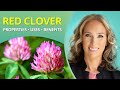 Red Clover:  Benefits, Uses, Properties | Dr. J9 Live