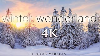 (4K) 11 Hours of Winter Wonderland + Calming Hang Drum Music for Relaxation, Stress Relief [UHD]