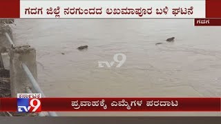 Karnataka Rain Fury: Buffaloes Battle For Life In Flood After Dam Releases Water In Gadag