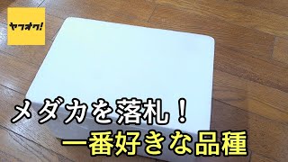 メダカの品種で一番好きなめだかをヤフオクで落札！【メダカ】