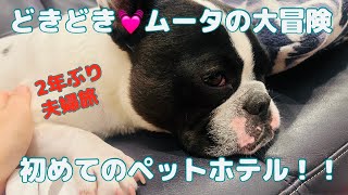 大冒険！甘えん坊犬飼い主から離れ初！！ペットホテルにお泊まり。果たして完遂できるのか！？