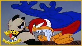 Woody Woodpecker | Knock Knock | Woody Woodpecker Full Episode | Old Cartoons | Videos for Kids